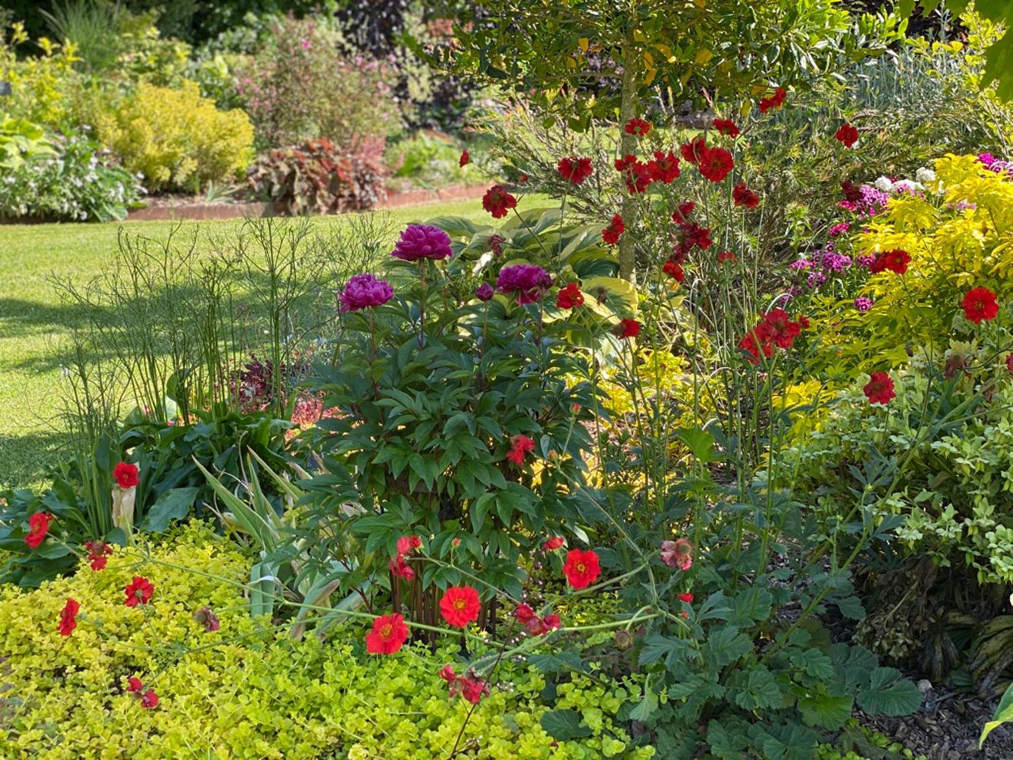 Bed and Breakfast L'Ecole Des Garcons Maigne Zewnętrze zdjęcie